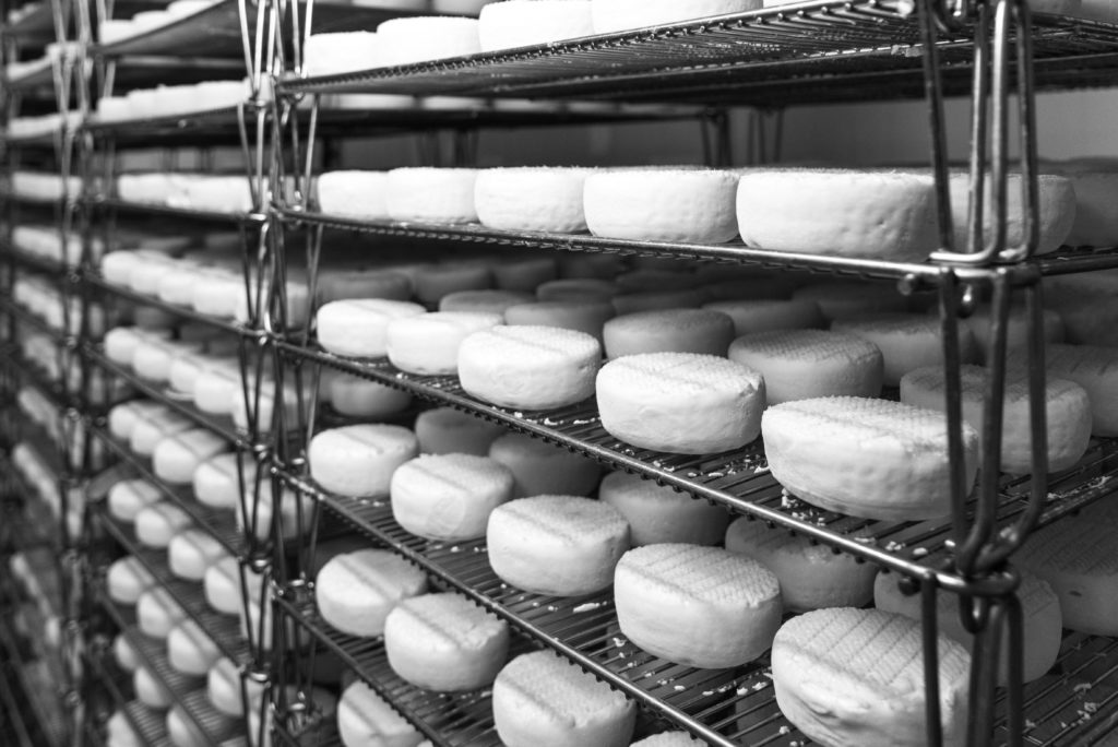 INDUSTRIE - FROMAGERIE INDUSTRIELLE